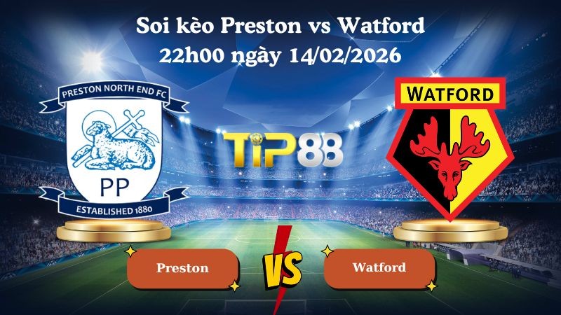 TIP88 Nhận định soi kèo Preston vs Watford 22h00 ngày 14/02/2026 - Vô địch Anh