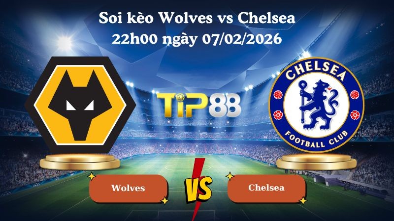 TIP88 Nhận định soi kèo Wolves vs Chelsea 22h00 ngày 07/02/2026 - Ngoại Hạng Anh