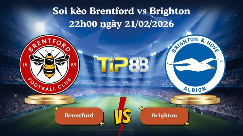 TIP88 Nhận định soi kèo Brentford vs Brighton 22h00 ngày 21/02/2026 - Ngoại hạng Anh