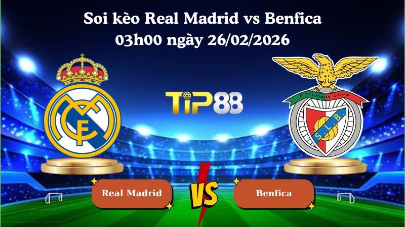 TIP88 Nhận định soi kèo Real Madrid vs Benfica 03h00 ngày 26/02/2026 - Champions League