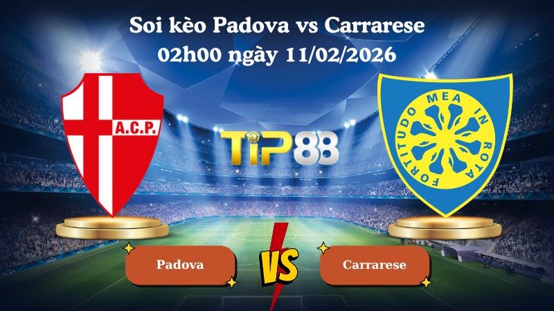 TIP88 Nhận định soi kèo Padova vs Carrarese 02h00 ngày 11/02/2026 - Hạng 2 Ý