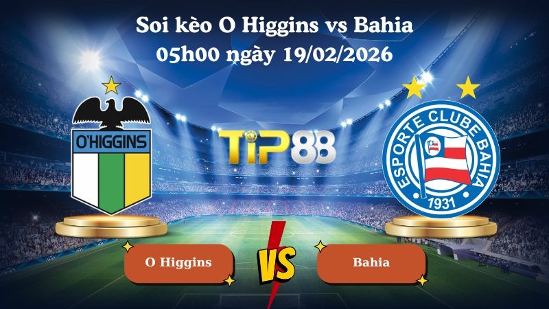 TIP88 Nhận định soi kèo O Higgins vs Bahia 05h00 ngày 19/02/2026 - Vòng loại Copa Libertadores