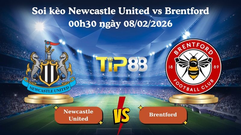 TIP88 Nhận định soi kèo Newcastle United vs Brentford 00h30 ngày 08/02/2026 - Ngoại Hạng Anh
