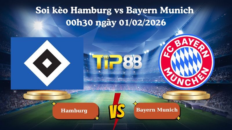 TIP88 Nhận định soi kèo Hamburg vs Bayern Munich 00h30 ngày 01/02/2026 - Bundesliga