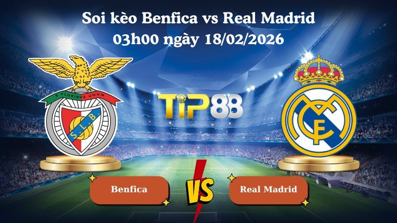 TIP88 Nhận định soi kèo Benfica vs Real Madrid 03h00 ngày 18/02/2026 - Champions League