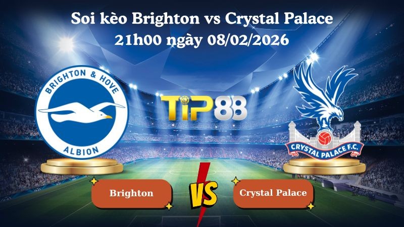 TIP88 Nhận định soi kèo Brighton vs Crystal Palace 21h00 ngày 08/02/2026 - Ngoại Hạng Anh