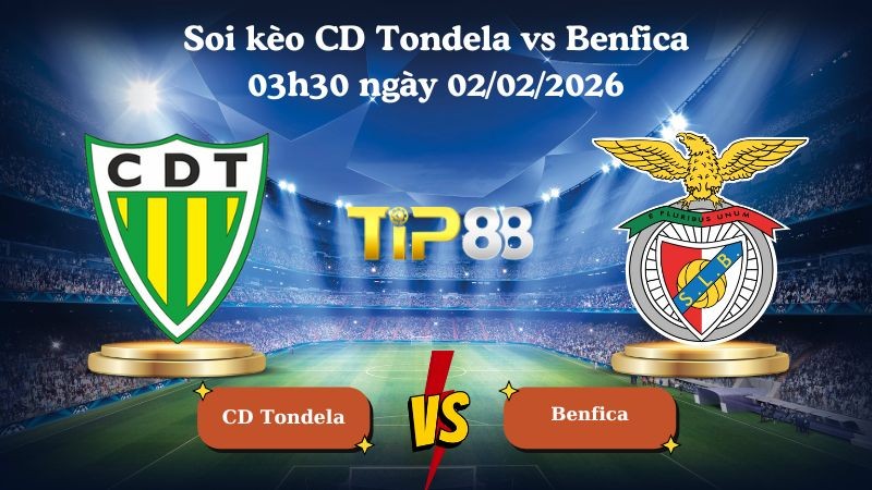 TIP88 Nhận định soi kèo CD Tondela vs Benfica 03h30 ngày 02/02/2026 - VĐQG Bồ Đào Nha