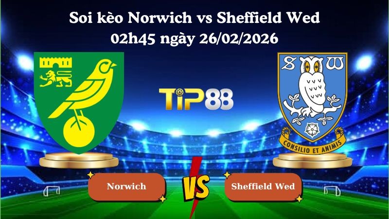 TIP88 Nhận định soi kèo Norwich vs Sheffield Wed 02h45 ngày 26/02/2026 - Hạng nhất Anh