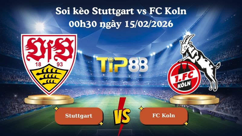 TIP88 Nhận định soi kèo Stuttgart vs FC Koln 00h30 ngày 15/02/2026 - Bundesliga