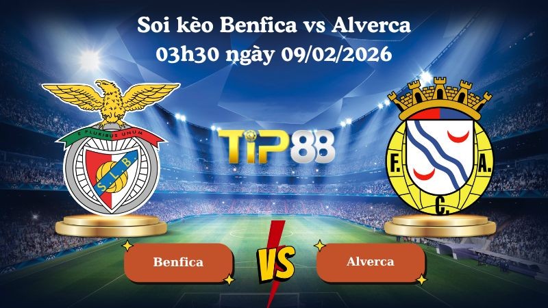 TIP88 Nhận định soi kèo Benfica vs Alverca 03h30 ngày 09/02/2026 - VĐQG Bồ Đào Nha