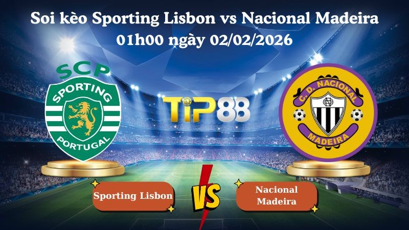 TIP88 Nhận định soi kèo Sporting Lisbon vs Nacional Madeira 01h00 ngày 02/02/2026 - VĐQG Bồ Đào Nha
